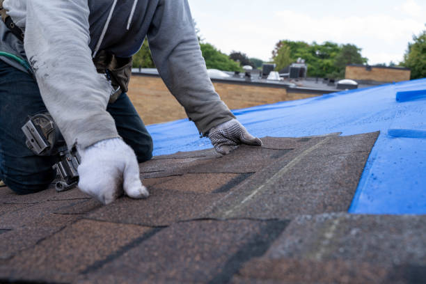 Best Storm Damage Roof Repair  in Luckey, OH